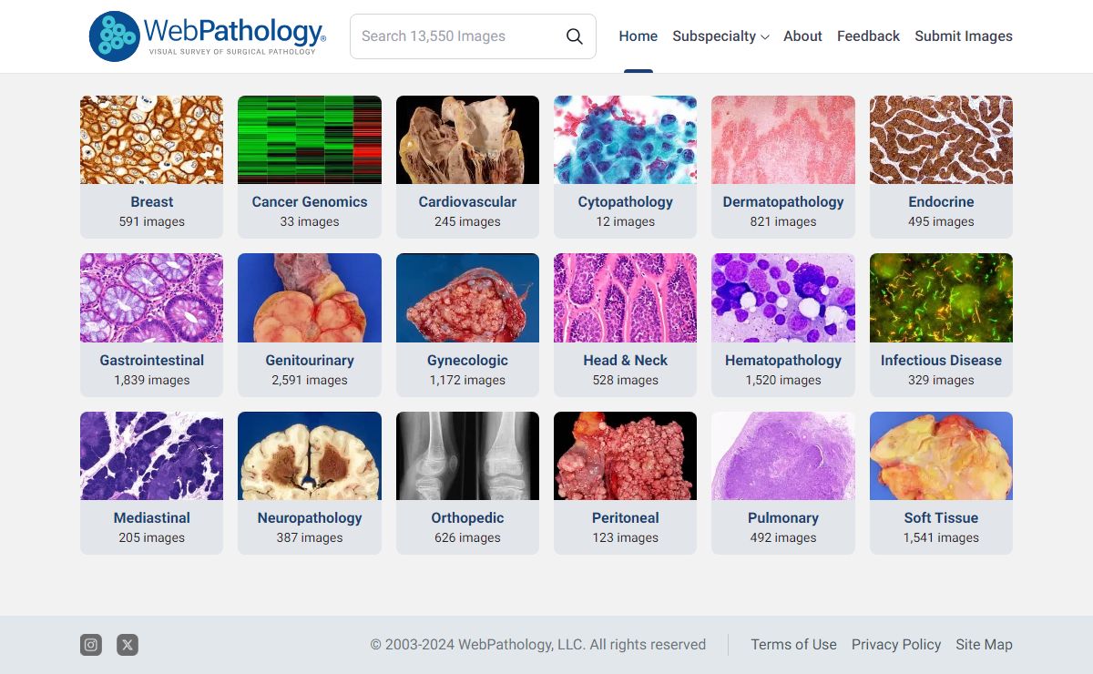 Collection of Surgical Pathology Images
