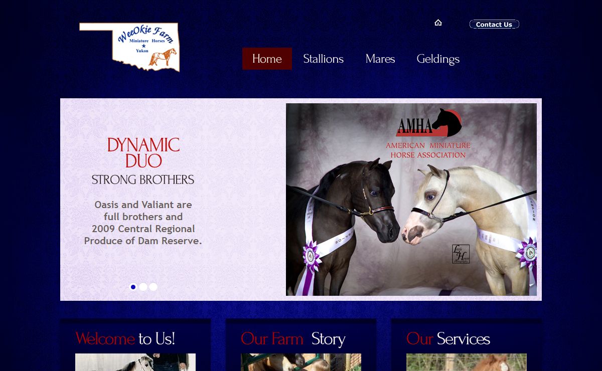 WeeOkie Farm - A Miniature Horse Farm - miniature horses for sale, miniature horses