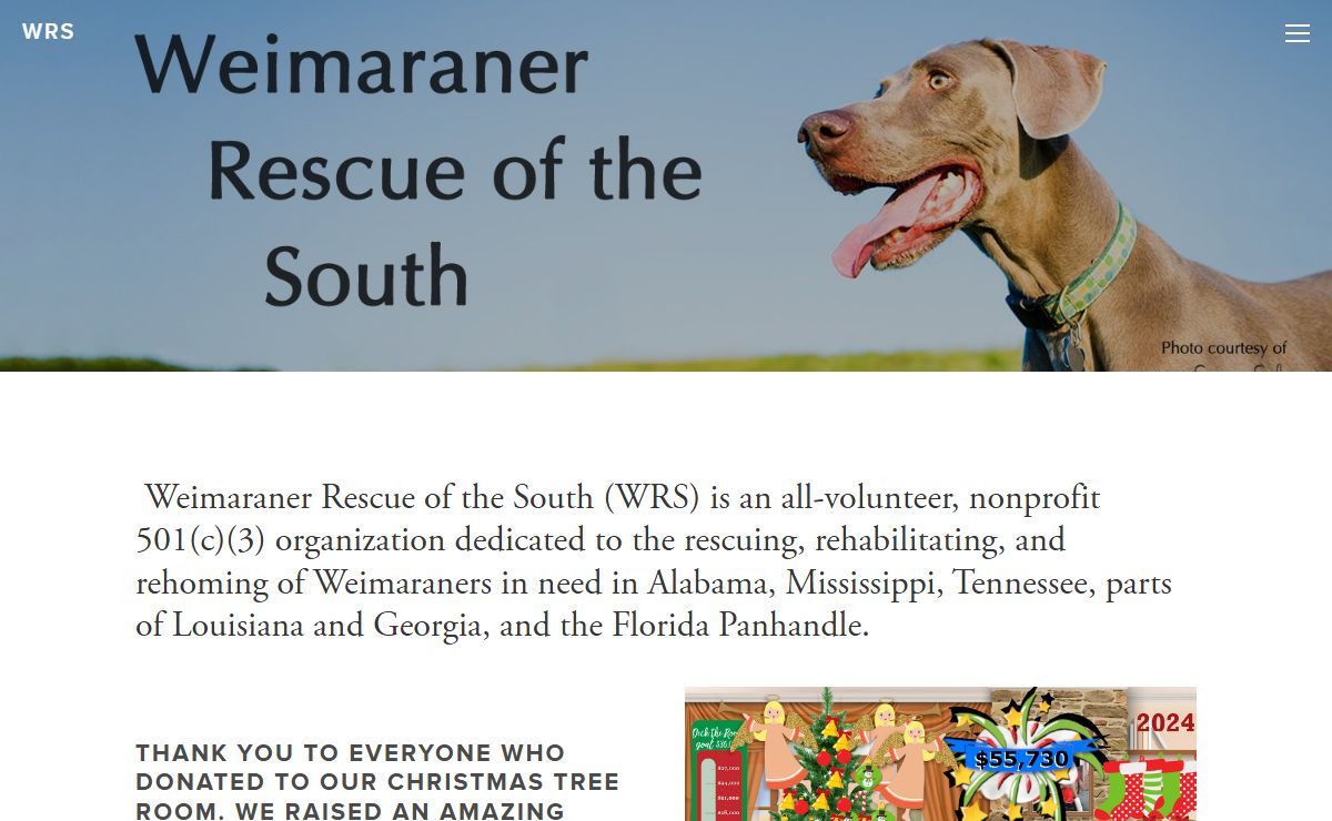 WRS Weimaraner Rescue of the South, Adopting Weims to Loving Homes