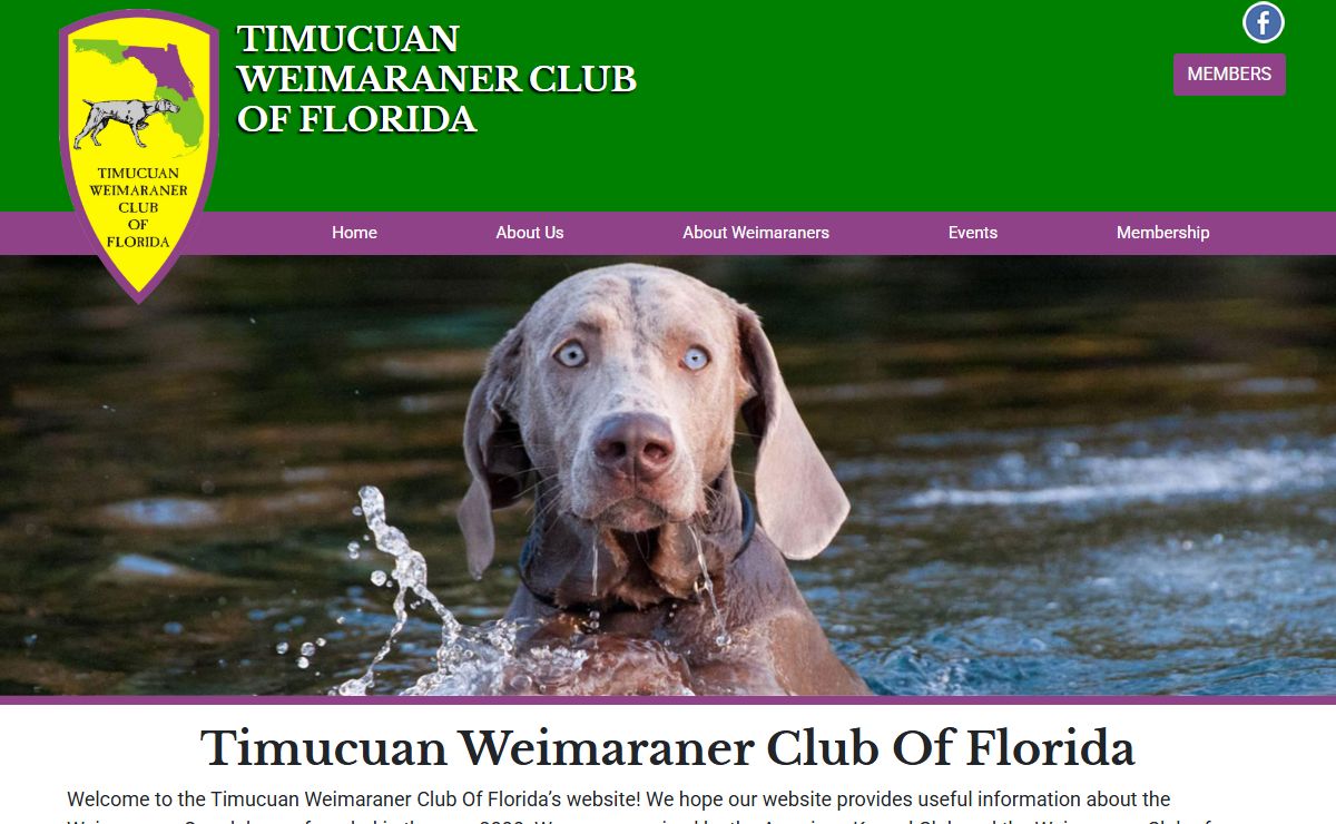 Timucuan Weimaraner Club Of Florida