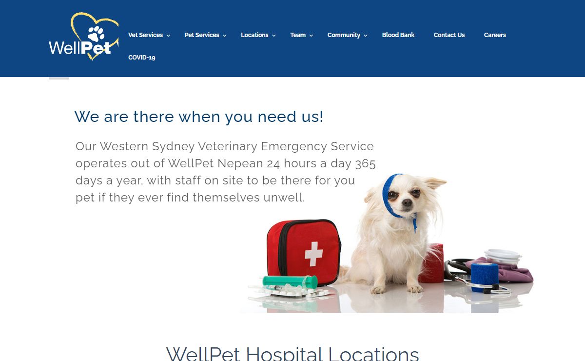 WellPet Vets