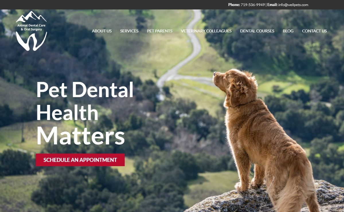 Animal Dental Care | Emergency Vet Dentist | Colorado Springs