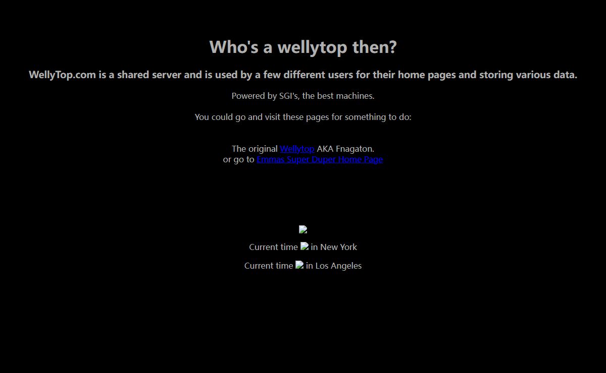Home of wellytop.com