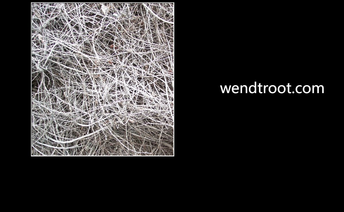 wendtroot