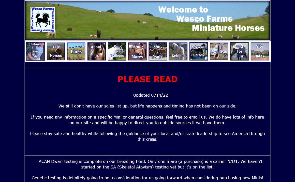 Wesco Farms Miniature Horses | Miniature Horses for sale | Miniature Horse Information
