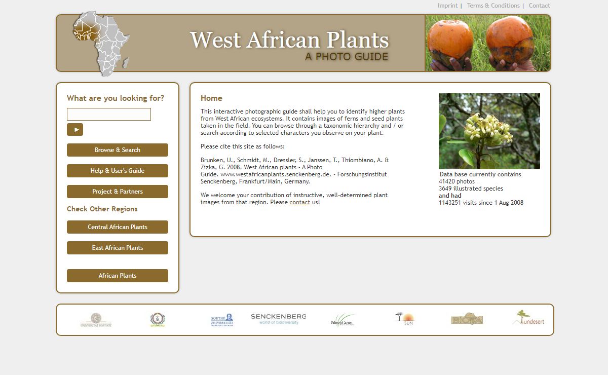 West African Plants - A Photo Guide - Home