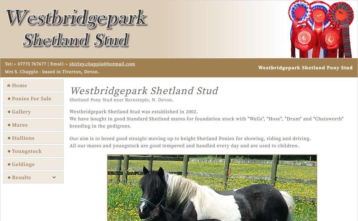 Westbridgepark Shetland Pony Stud