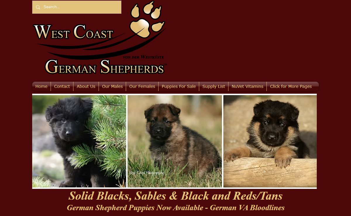 West Coast German Shepherds | german shepherd puppies sales | Menifee, CA, USA