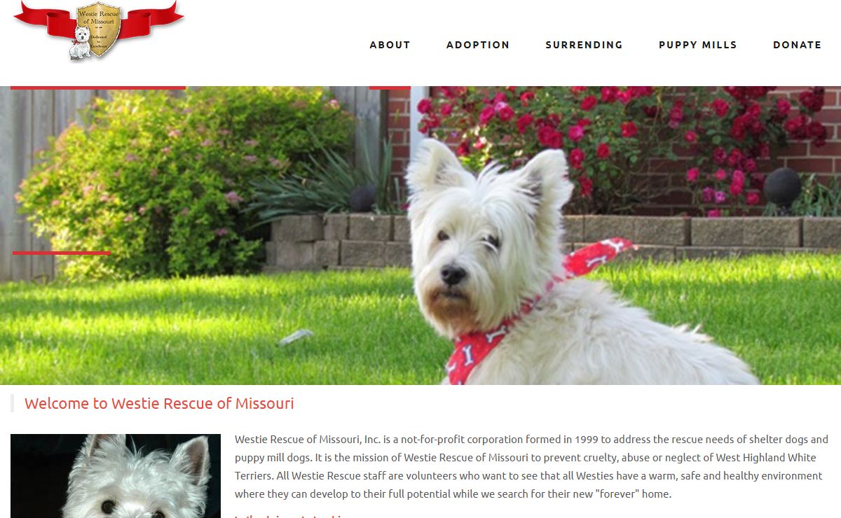Westie Rescue of Missouri |