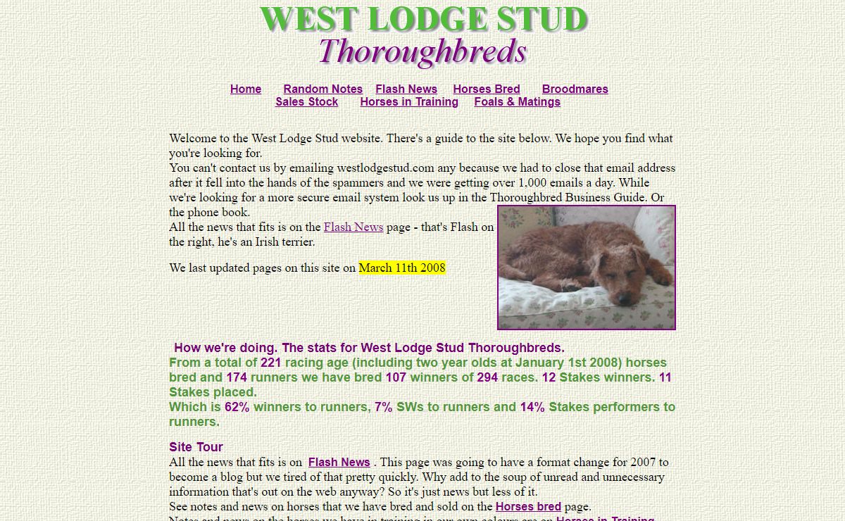 West Lodge Stud Thoroughbreds - Homepage