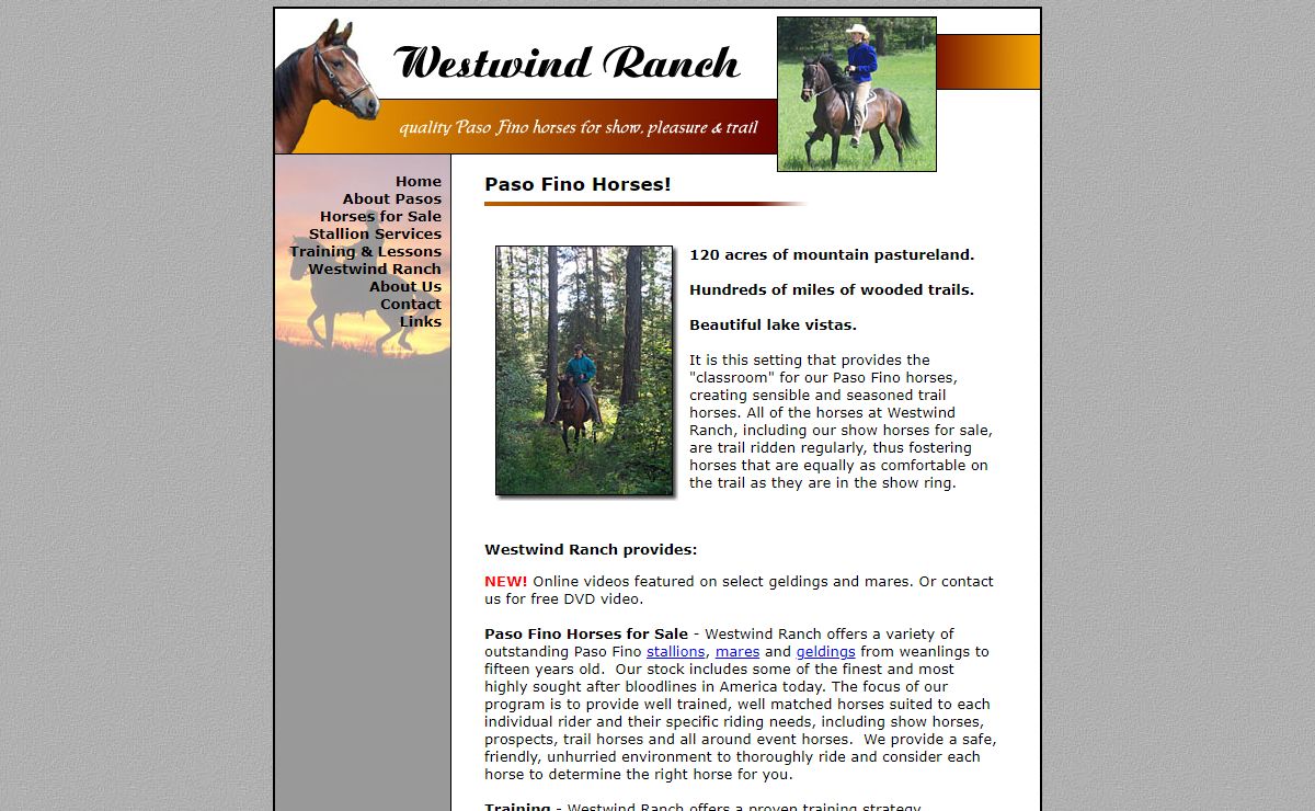 Paso Fino Horses at Westwind Ranch