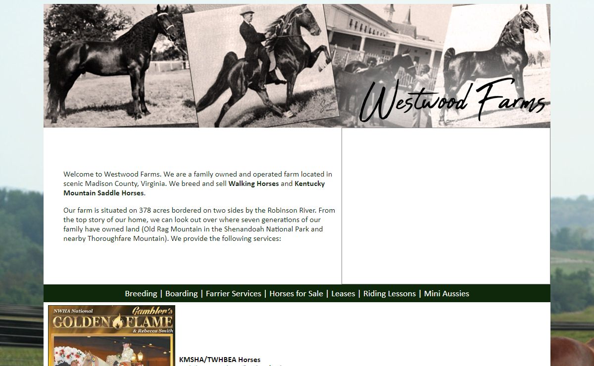 Westwood Farms Walking & Mountain Horses