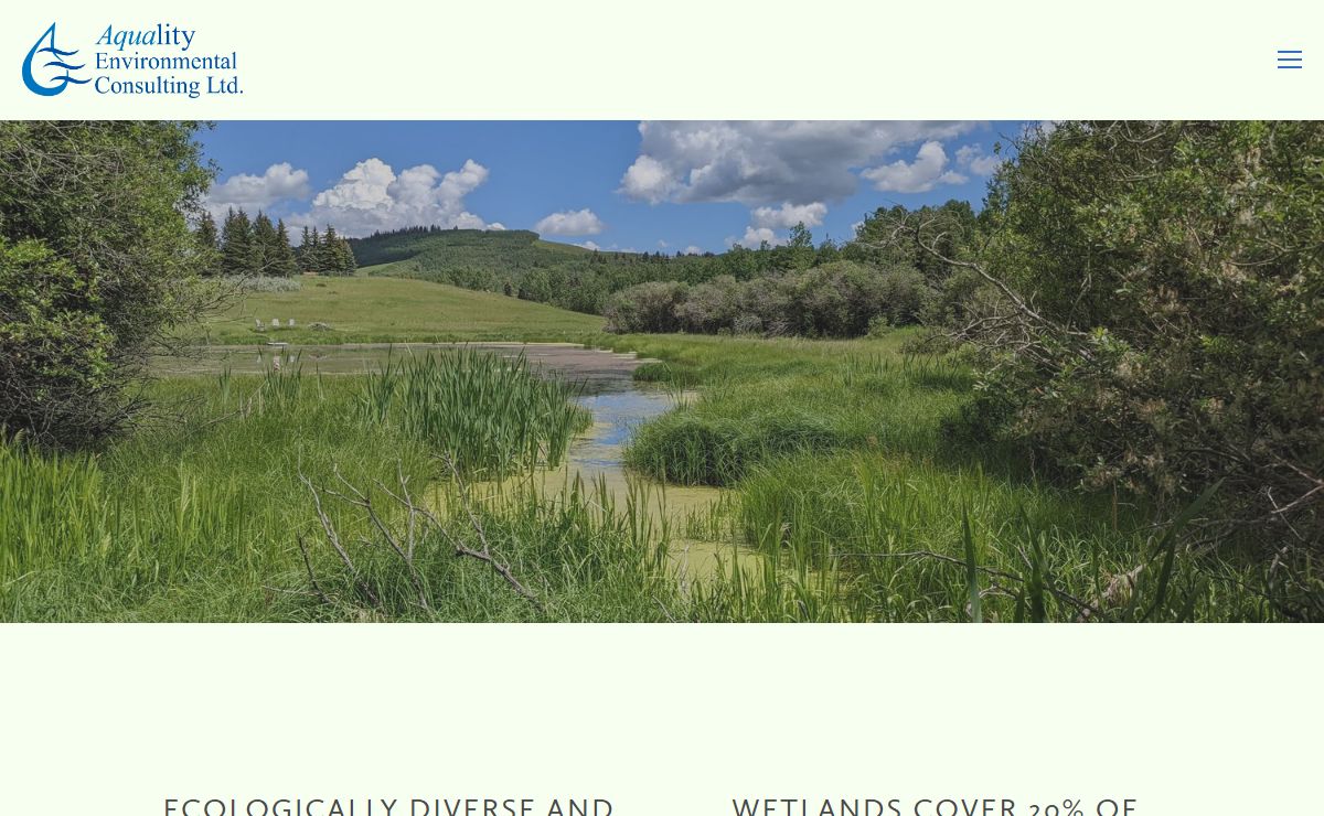 Wetland Policy