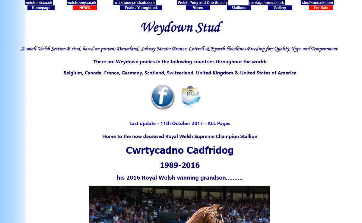 Weydown Stud.