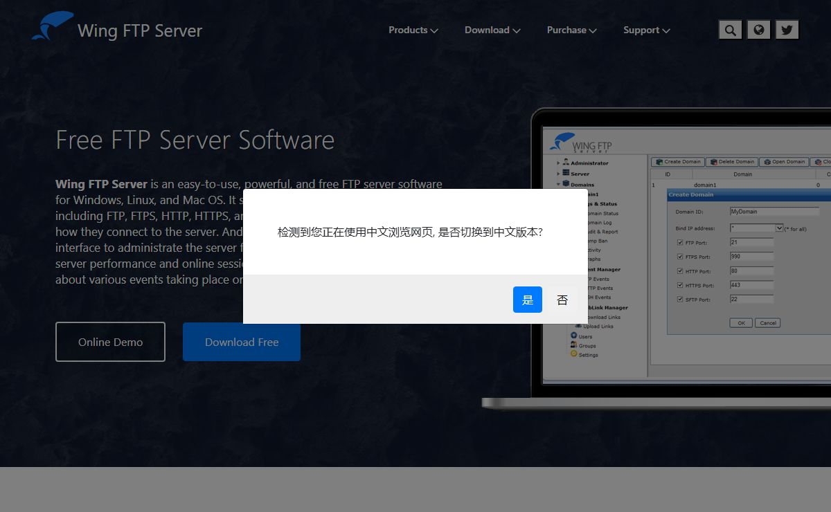 Wing FTP Server