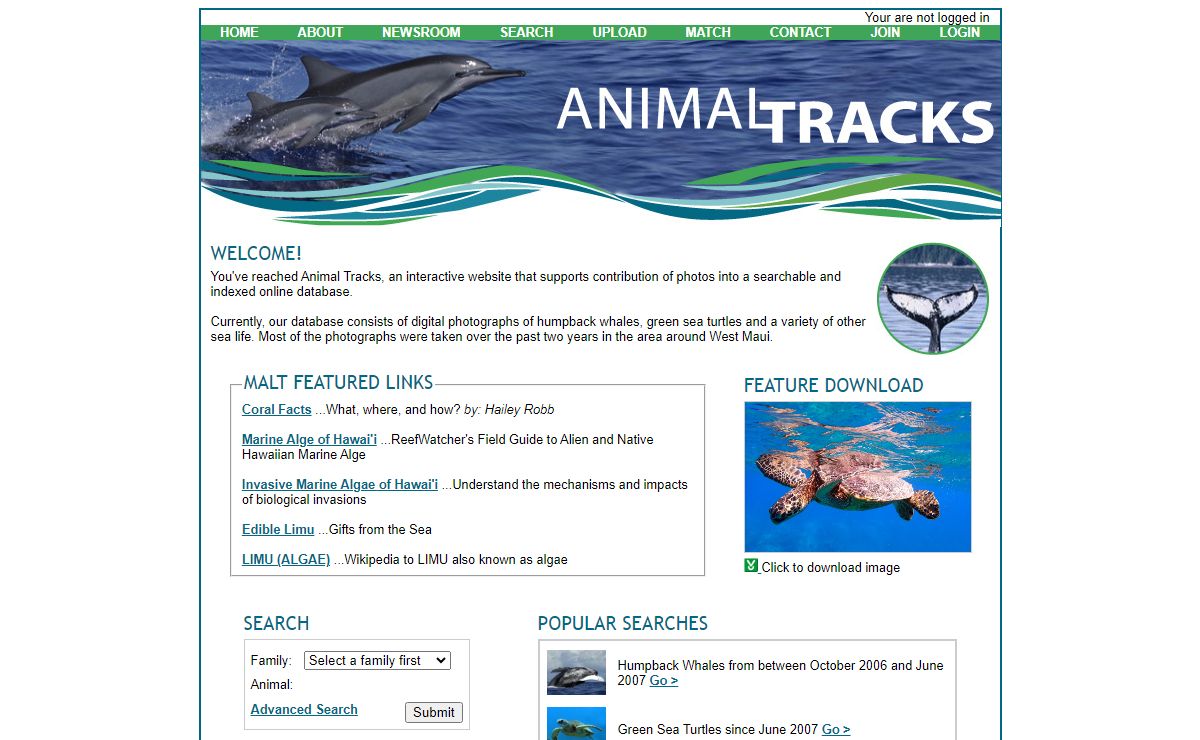 Animal Tracks: Welcome to our Homepage!
