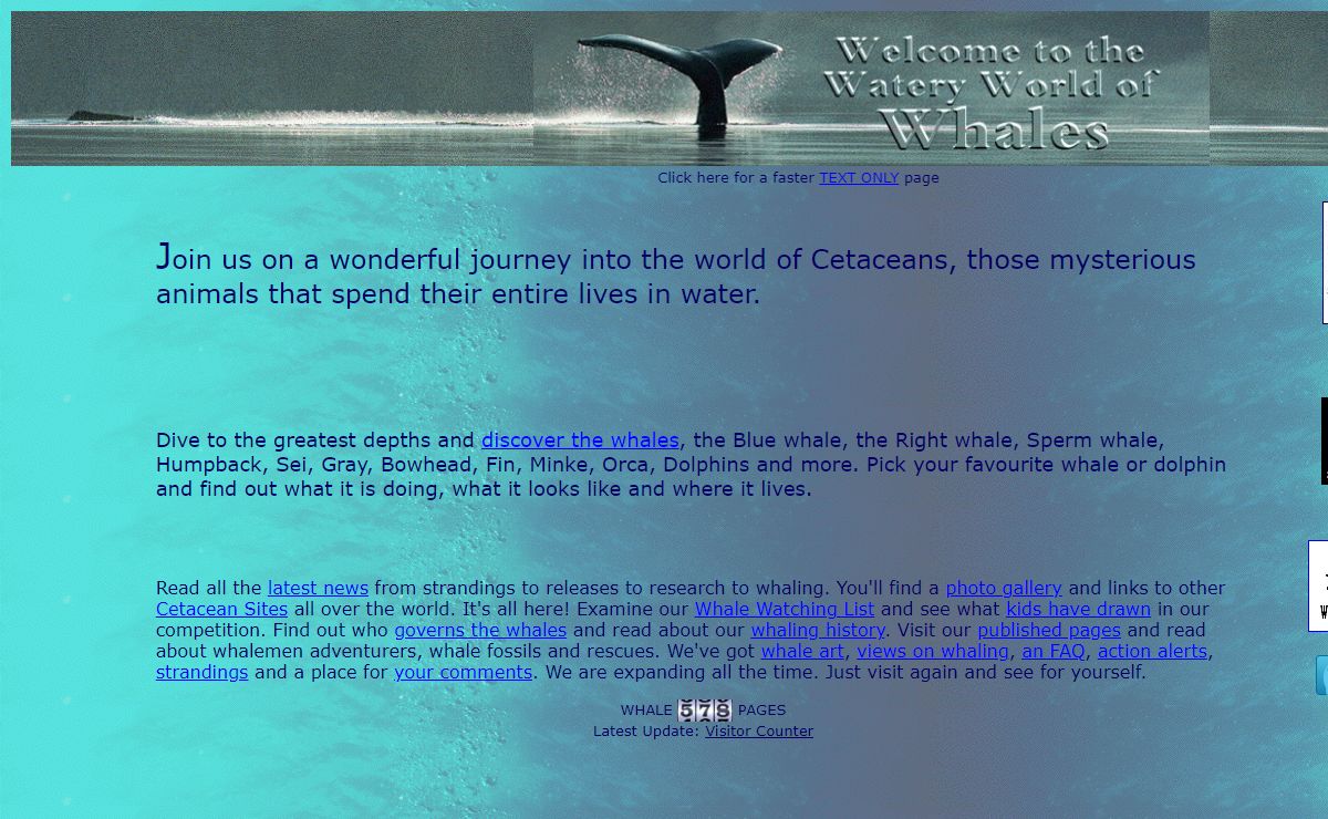 The Whale, Whales and Whaling (Video)