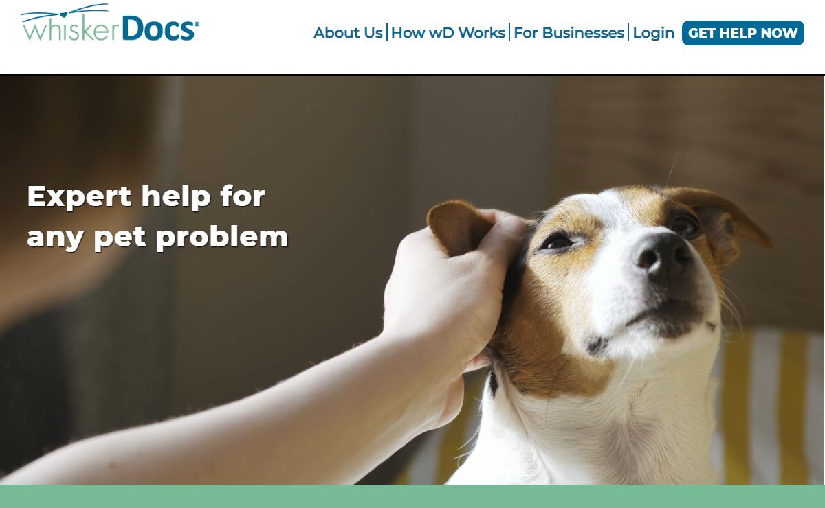 whiskerDocs | Anytime, anywhere, whiskerDocs is there!