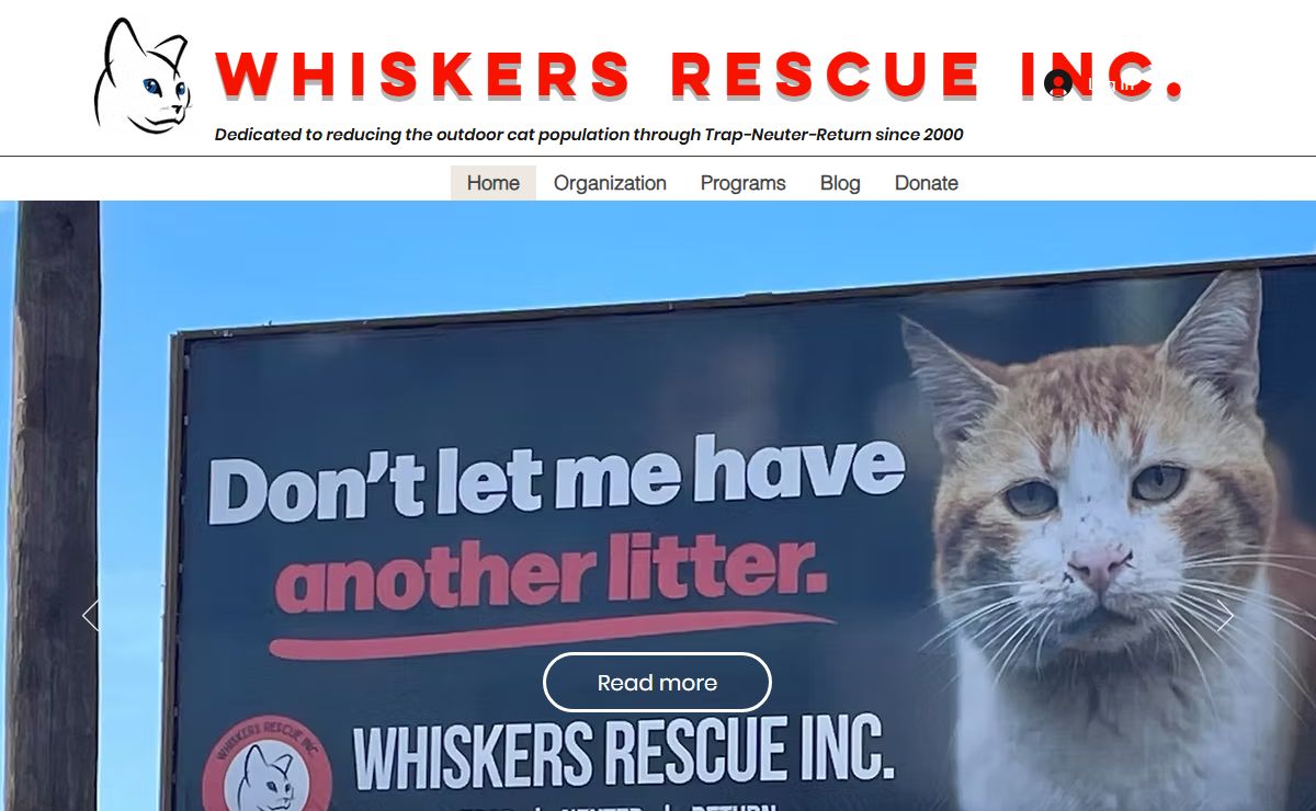 Whiskers Rescue Inc. | No Cats Born Outside NJ