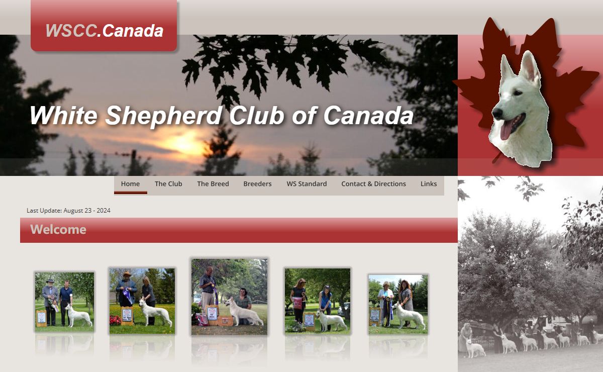 White Shepherd Club of Canada