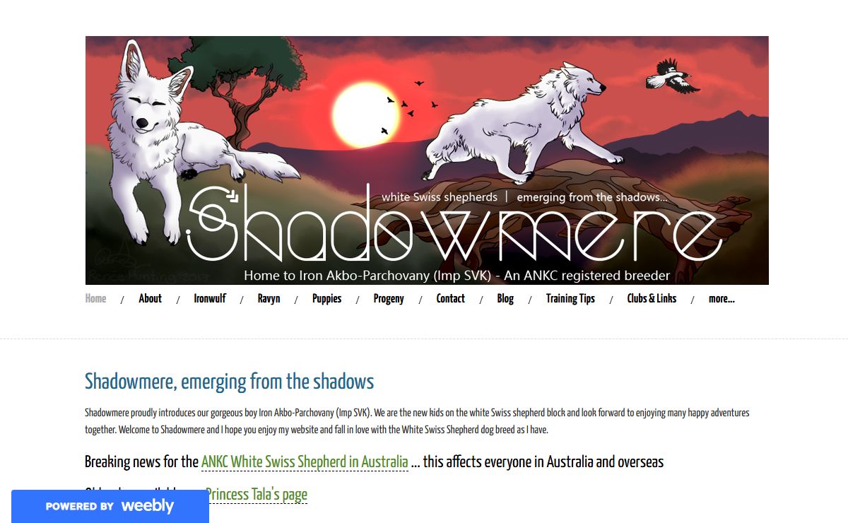 Shadowmere White Swiss Shepherds - Home to Iron Akbo-Parchovany (Imp SVK)