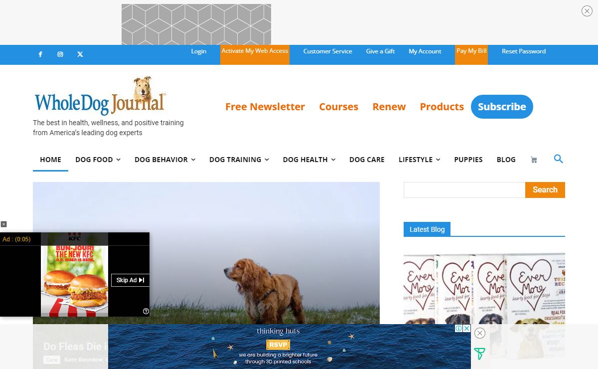 Home - Whole Dog Journal | Dog Health, Care, and Training