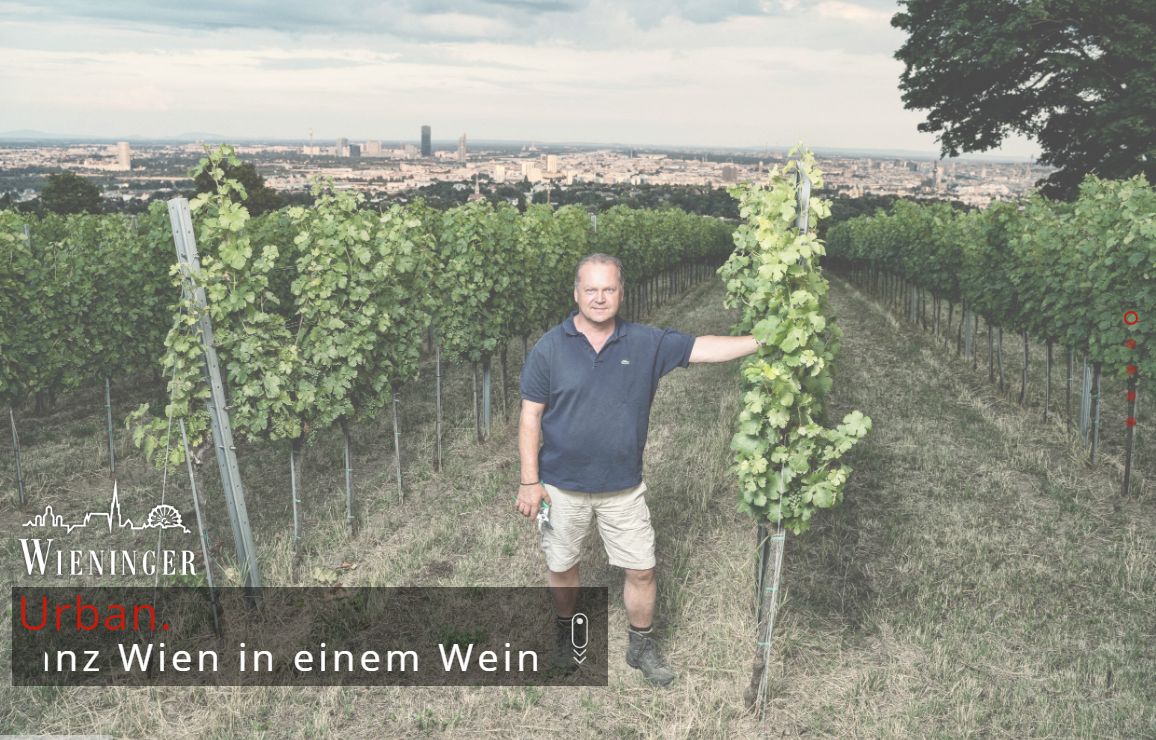 Willkommen im Weingut Wieninger