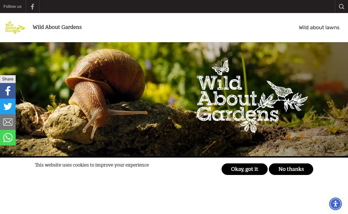 Making friends with molluscs | Wild About Gardens