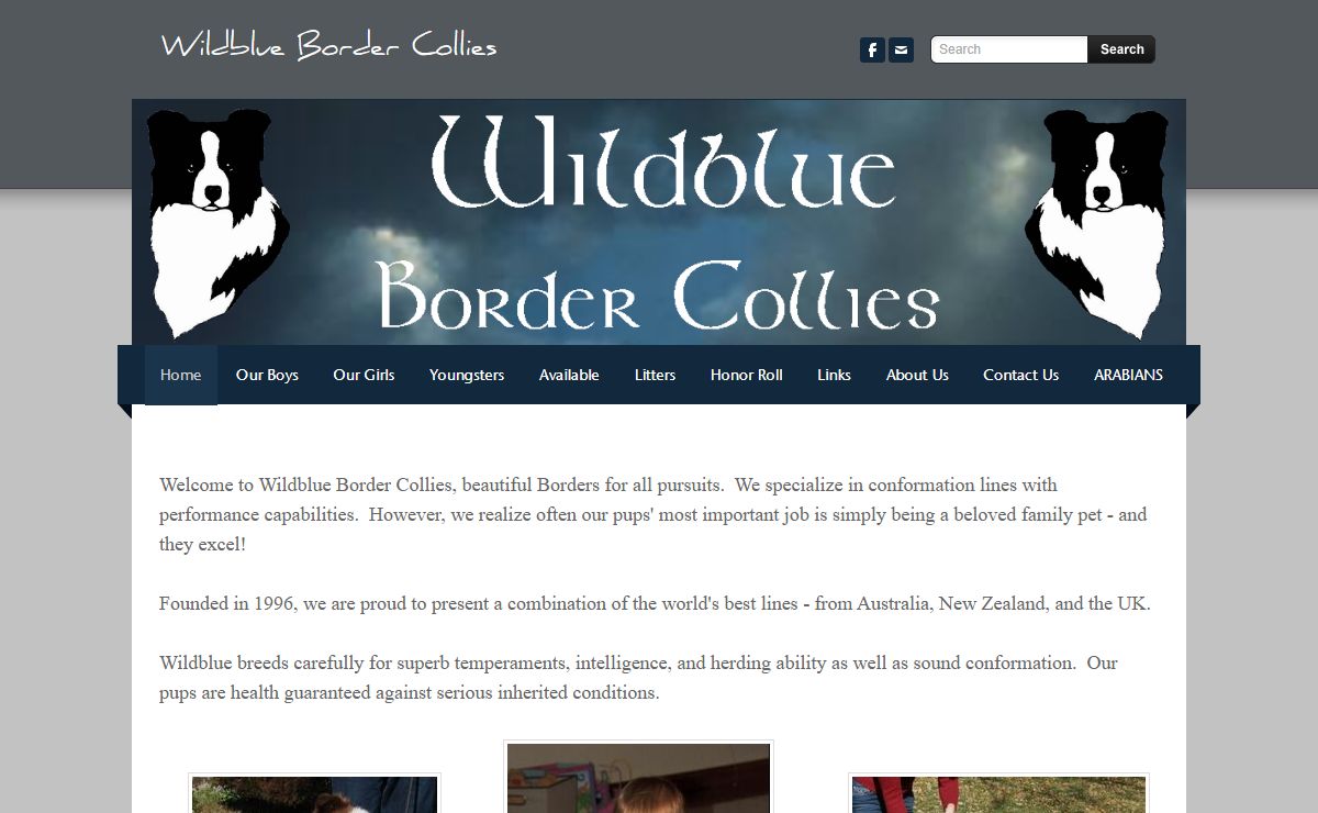 Wildblue Border Collies - Home