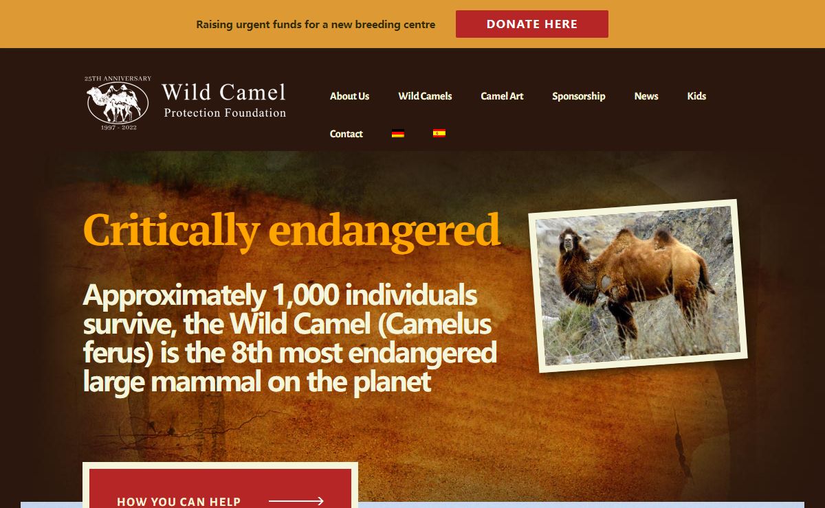 The Wild Camel Protection Foundation (WCPF)