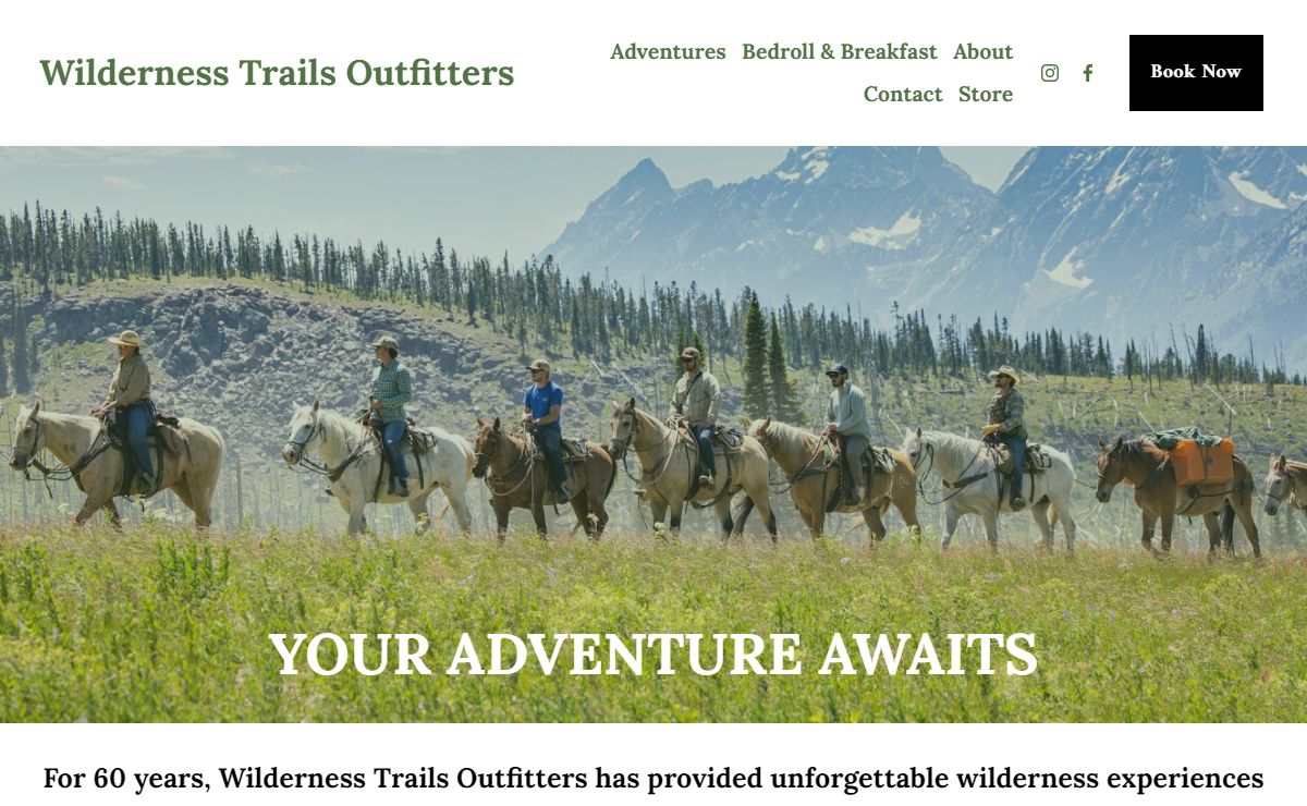 Wilderness Trails Outfitters - Yellowstone Horse Pack Trips