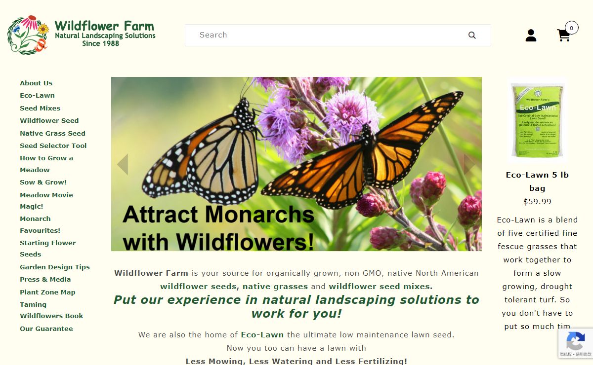 Wildflower Farm