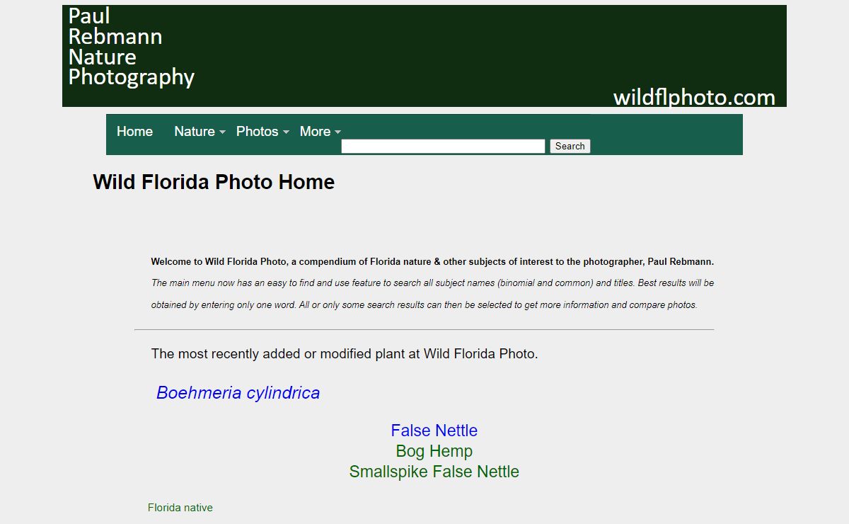 Wild Florida Photo - home page