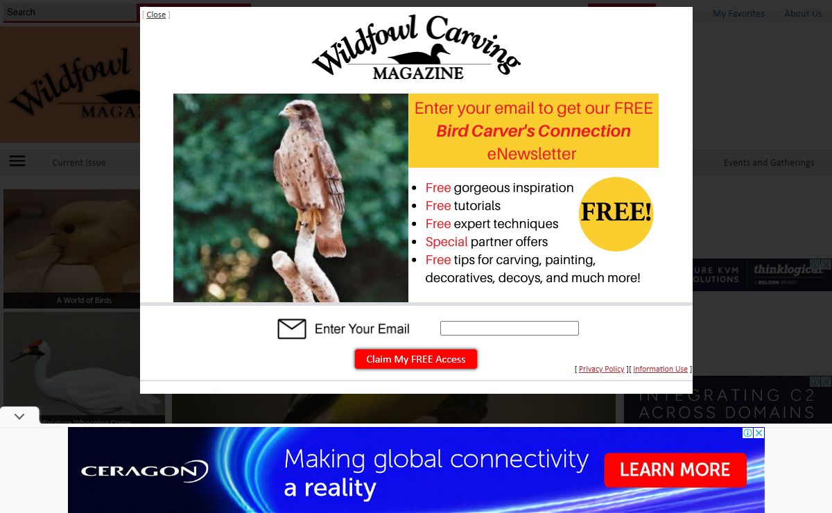 Wildfowl Carving Magazine - The Only Magazine for Bird Carvers