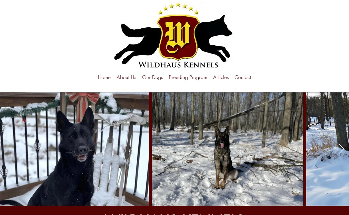 Home | Wildhaus Kennels