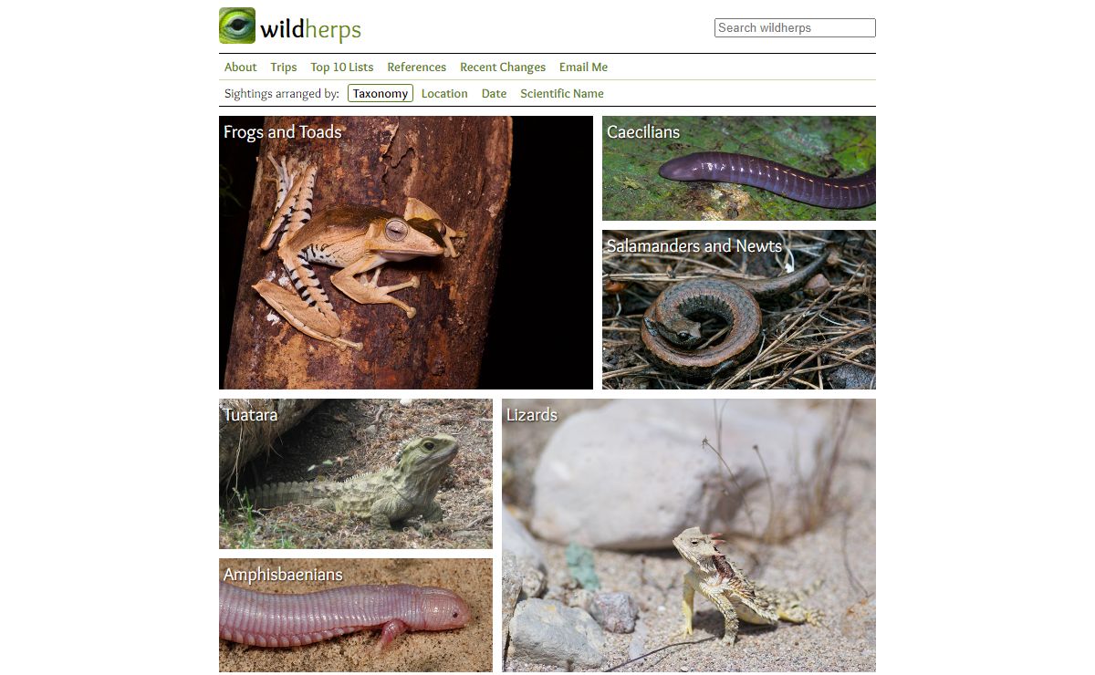 Wild Herps