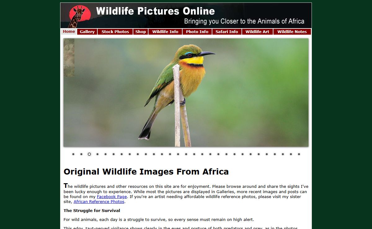 Wildlife Pictures, Wildlife Resources and Photography Tips