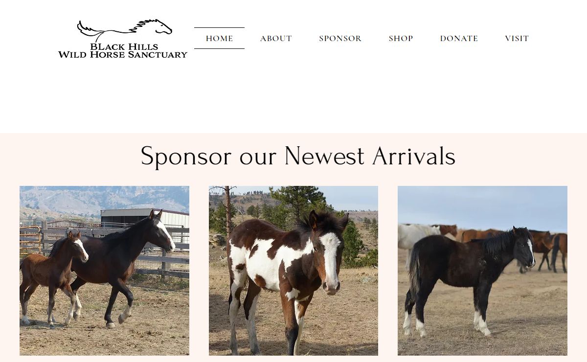 Black Hills Wild Horse Sanctuary