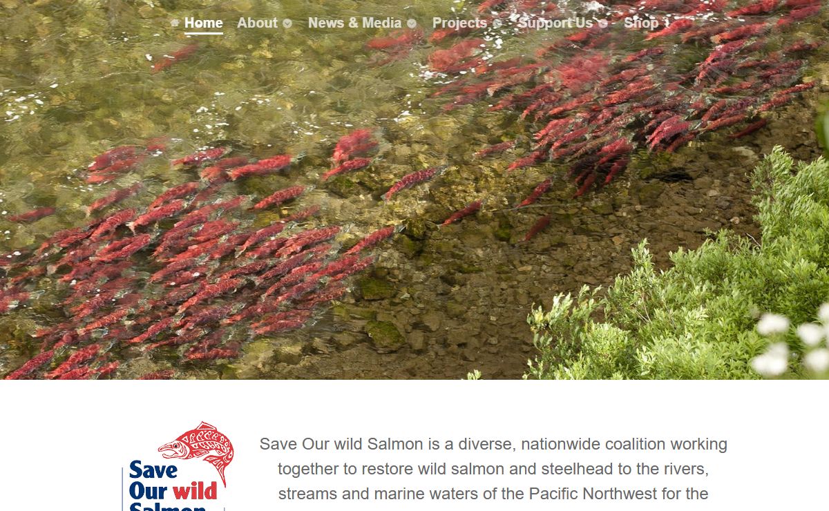 Save Our Wild Salmon - Home