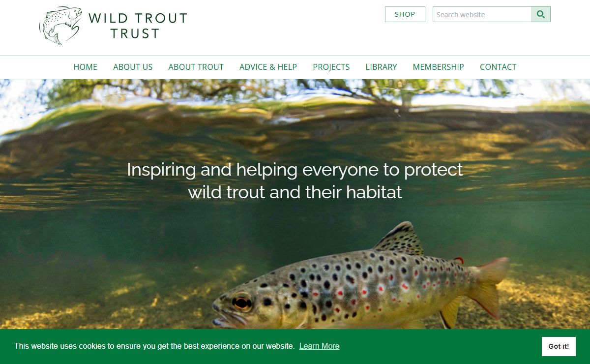 Wild Trout projects, rivers, fishing, advice in UK and Ireland. WTT | Wild Trout Trust