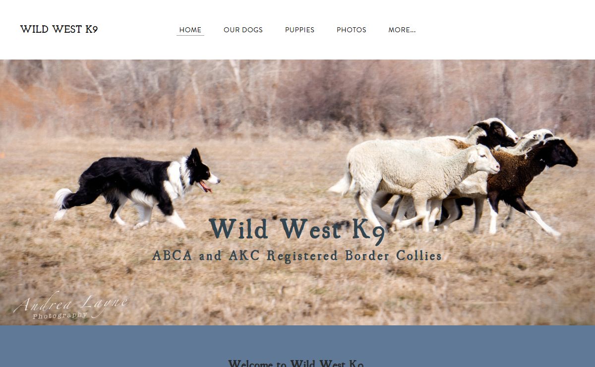 Wild West K9 - Home