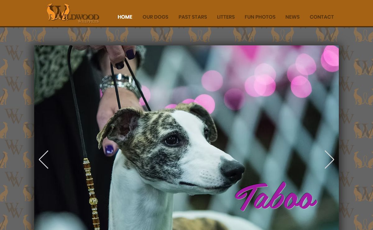 Wildwood Whippets | Home | Washington, MI