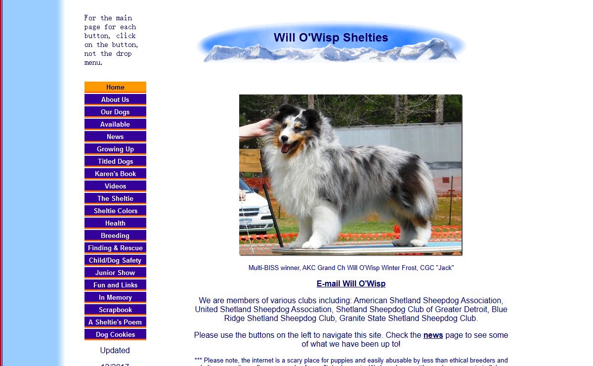 Will O'Wisp Shelties