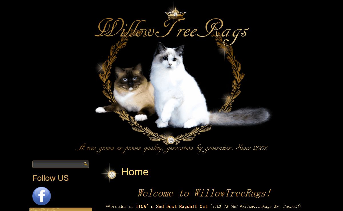 WillowTreeRags Ragdoll Kittens in Massachusetts