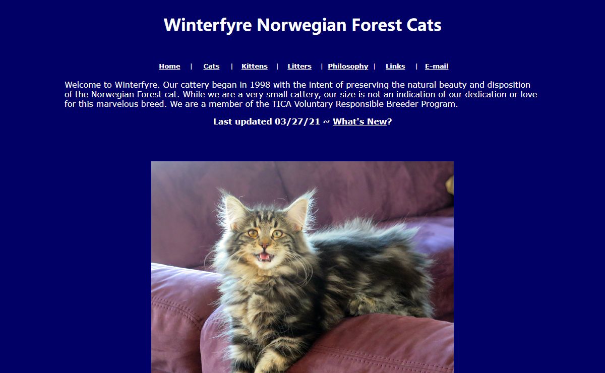 Winterfyre Norwegian Forest Cats