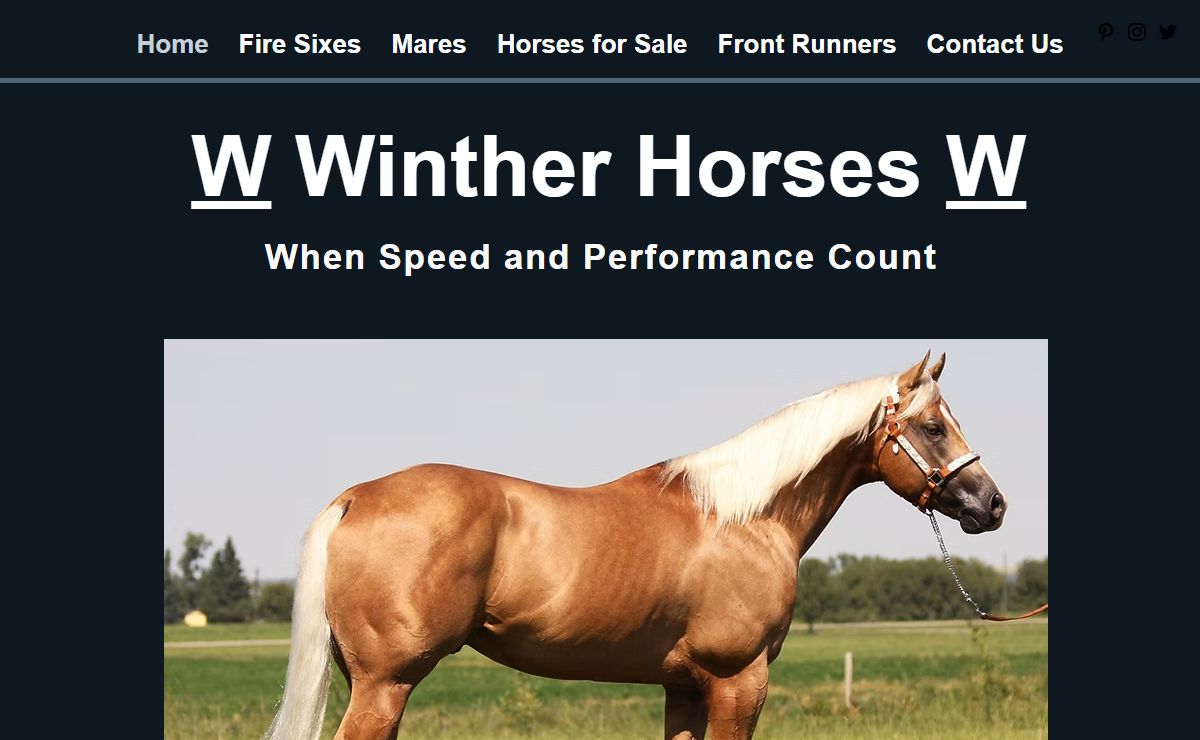 Fire Water Flit | Winther Horses | Huxley