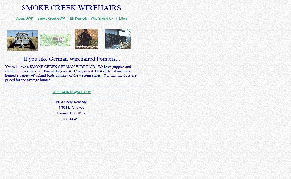 Web Page