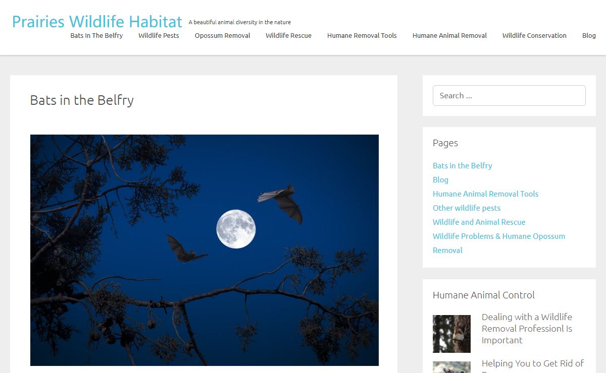 Prairies Wildlife Habitat – A beautiful animal diversity in the nature