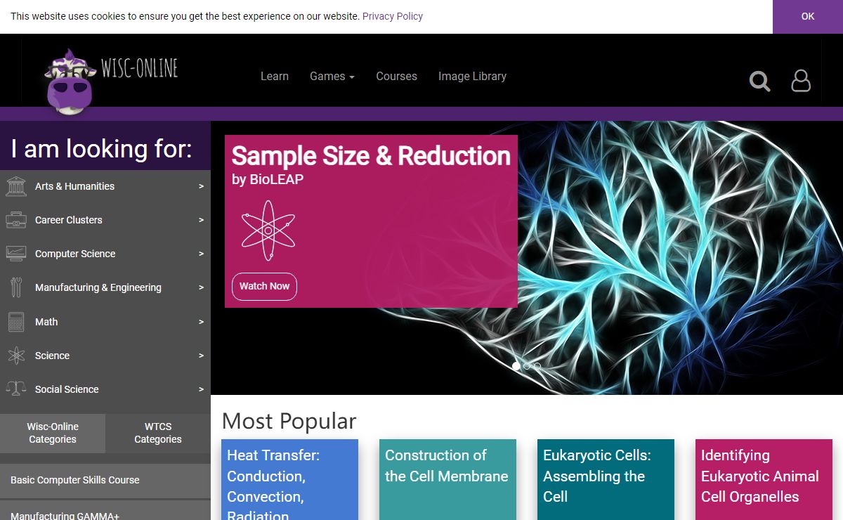Learning Objects - Wisc-Online OER