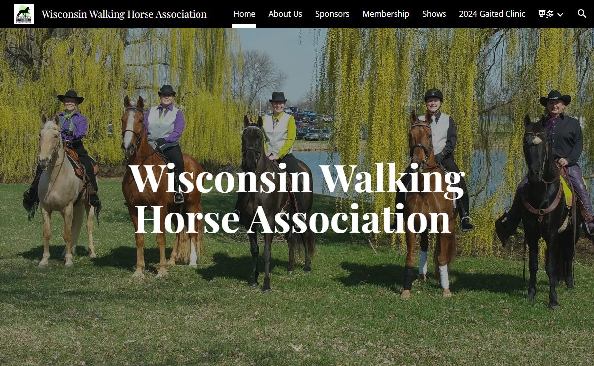 Wisconsin Walking Horse Association